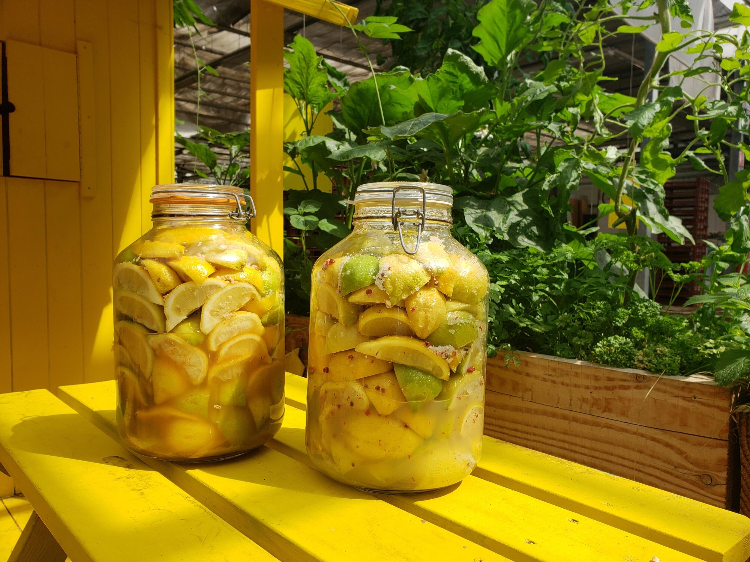 Réalisez vos sauces piquantes et condiments fermentés avec Ghita - Image n°11 - Wecandoo