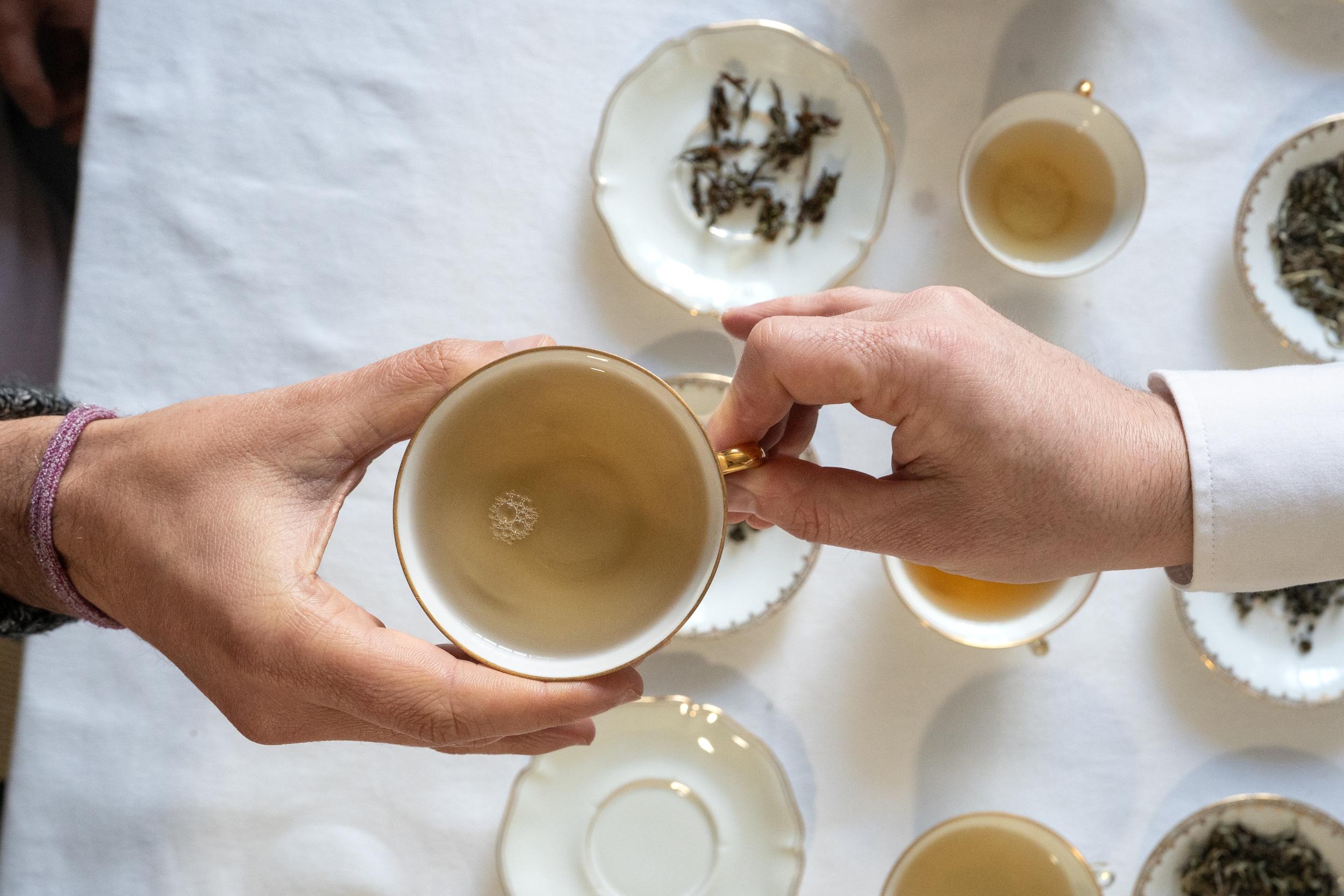 Initiez-vous à la dégustation de thé