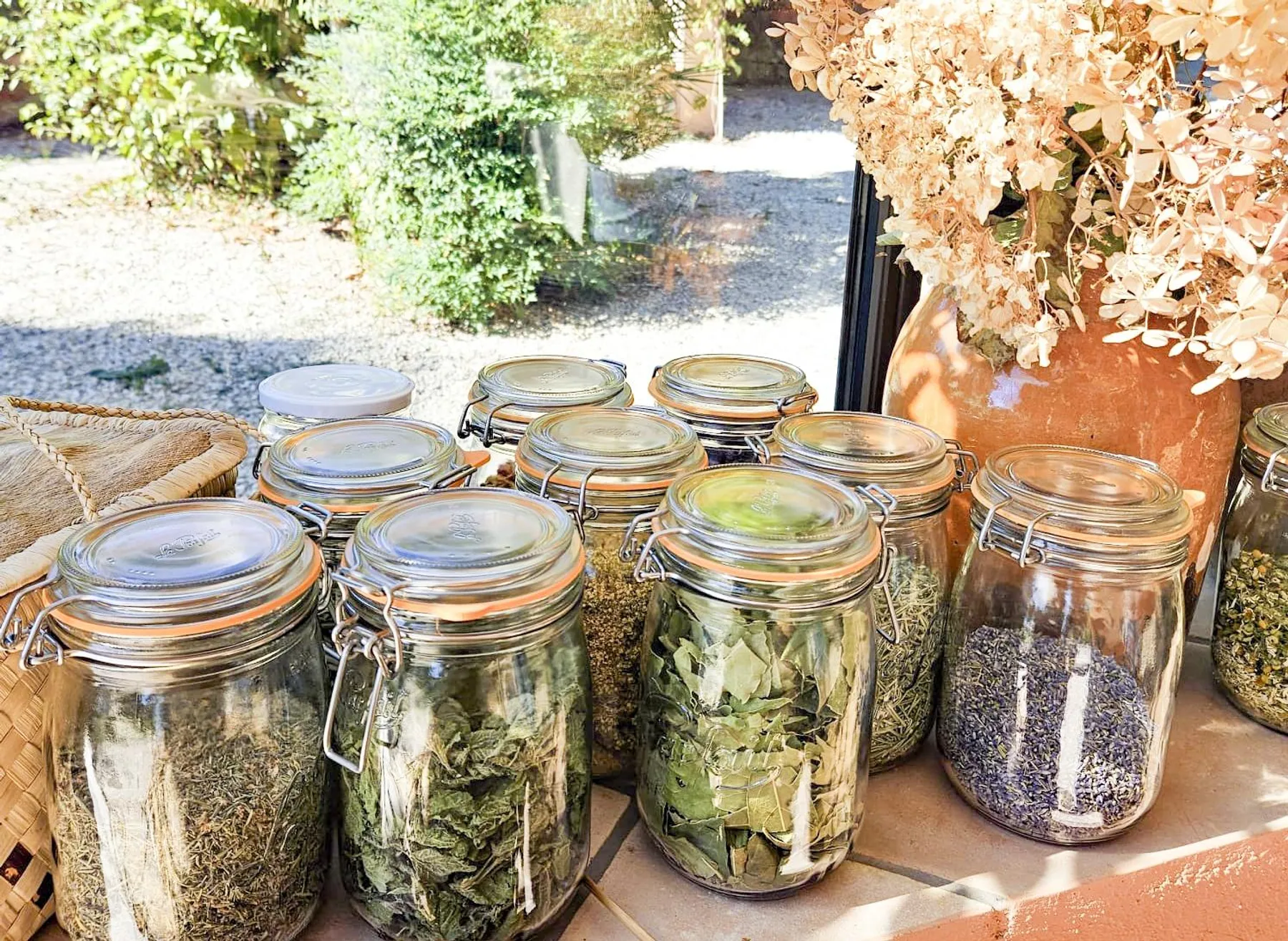 Fabriquez votre tisane sur-mesure en duo avec Maeva - Afbeelding nr. 5 - Wecandoo