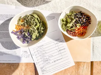 Fabriquez votre tisane personnalisée en duo