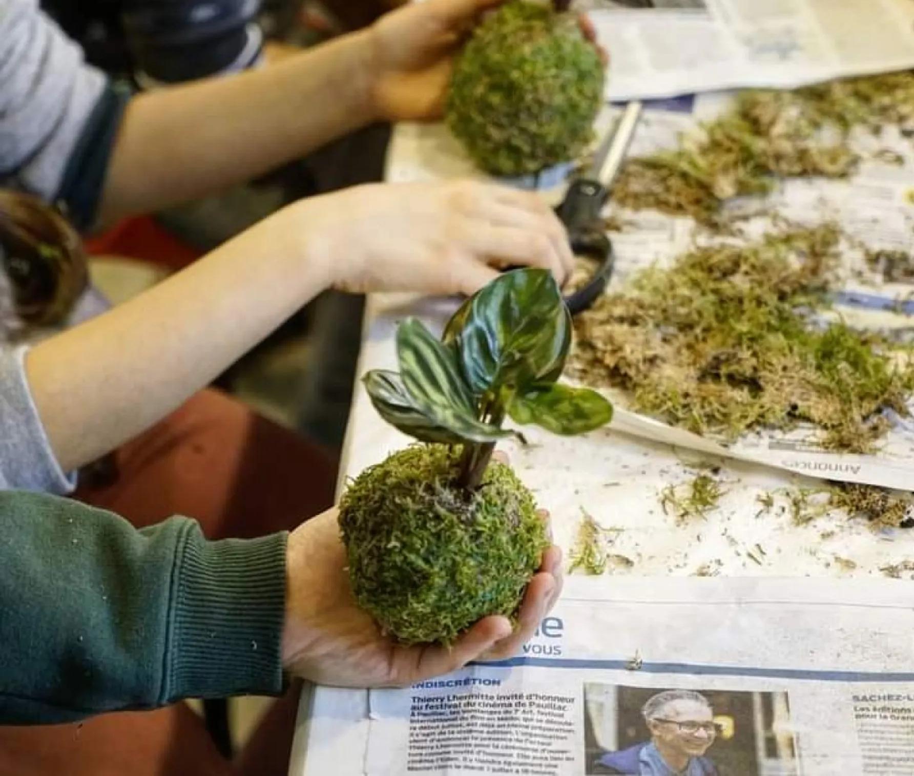 Créez vos kokedamas en duo avec votre enfant