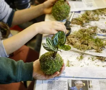 Créez vos kokedamas en duo avec votre enfant