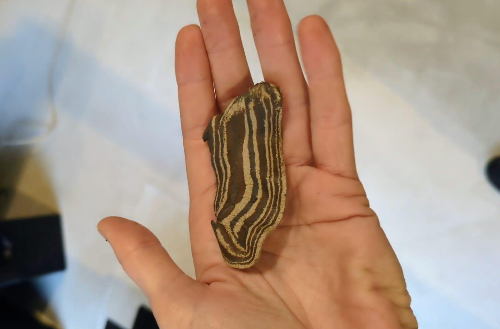 Réalisez votre objet unique en terre mêlée avec Kathleen - Image n°7 - Wecandoo