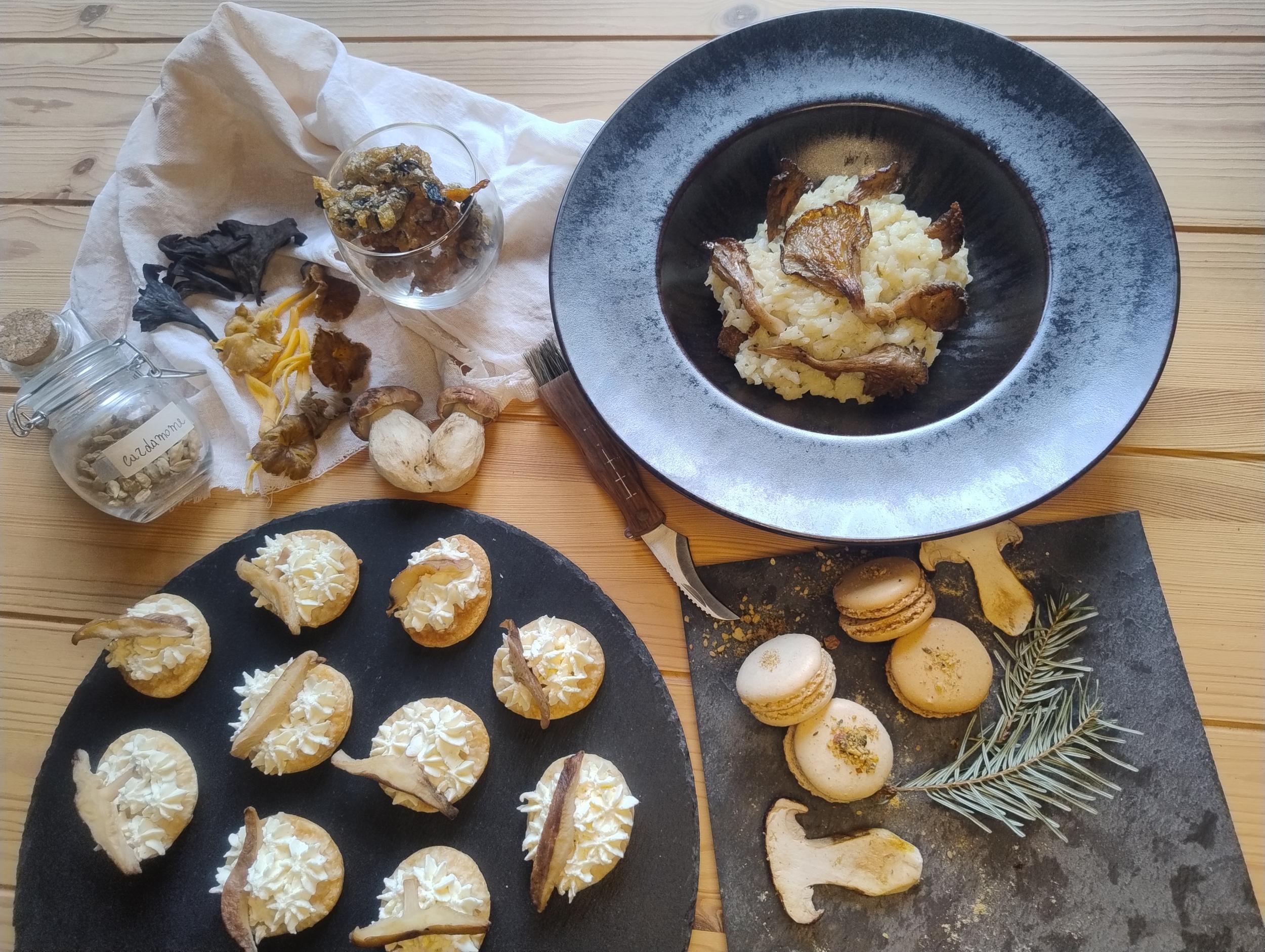 Découvrez et cuisinez des champignons sauvages sur une journée avec Milena et Anna - Image n°3 - Wecandoo