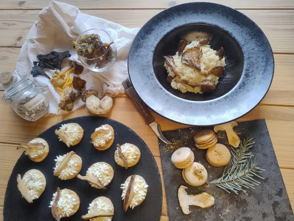 Découvrez et cuisinez des champignons sauvages sur une journée avec Milena et Anna - Image n°3 - Wecandoo