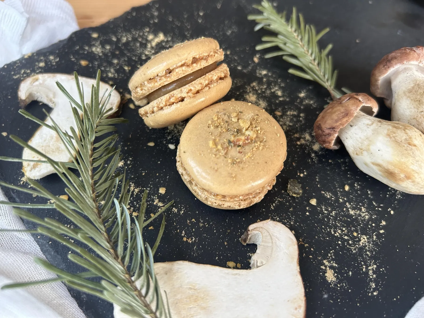 Découvrez et cuisinez des champignons sauvages sur une journée avec Milena et Anna - Image n°5 - Wecandoo