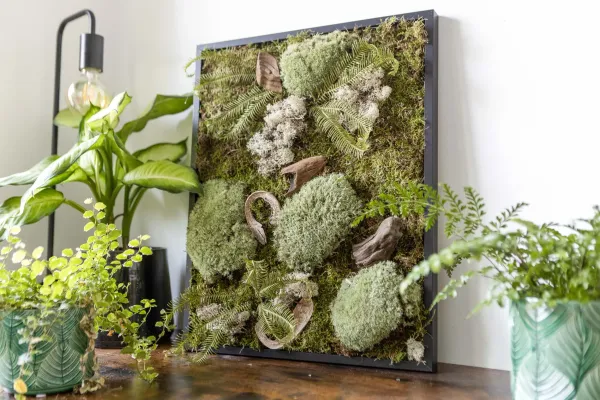 Réalisez votre cadre végétal