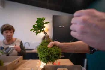 Fabriquez votre kokedama
