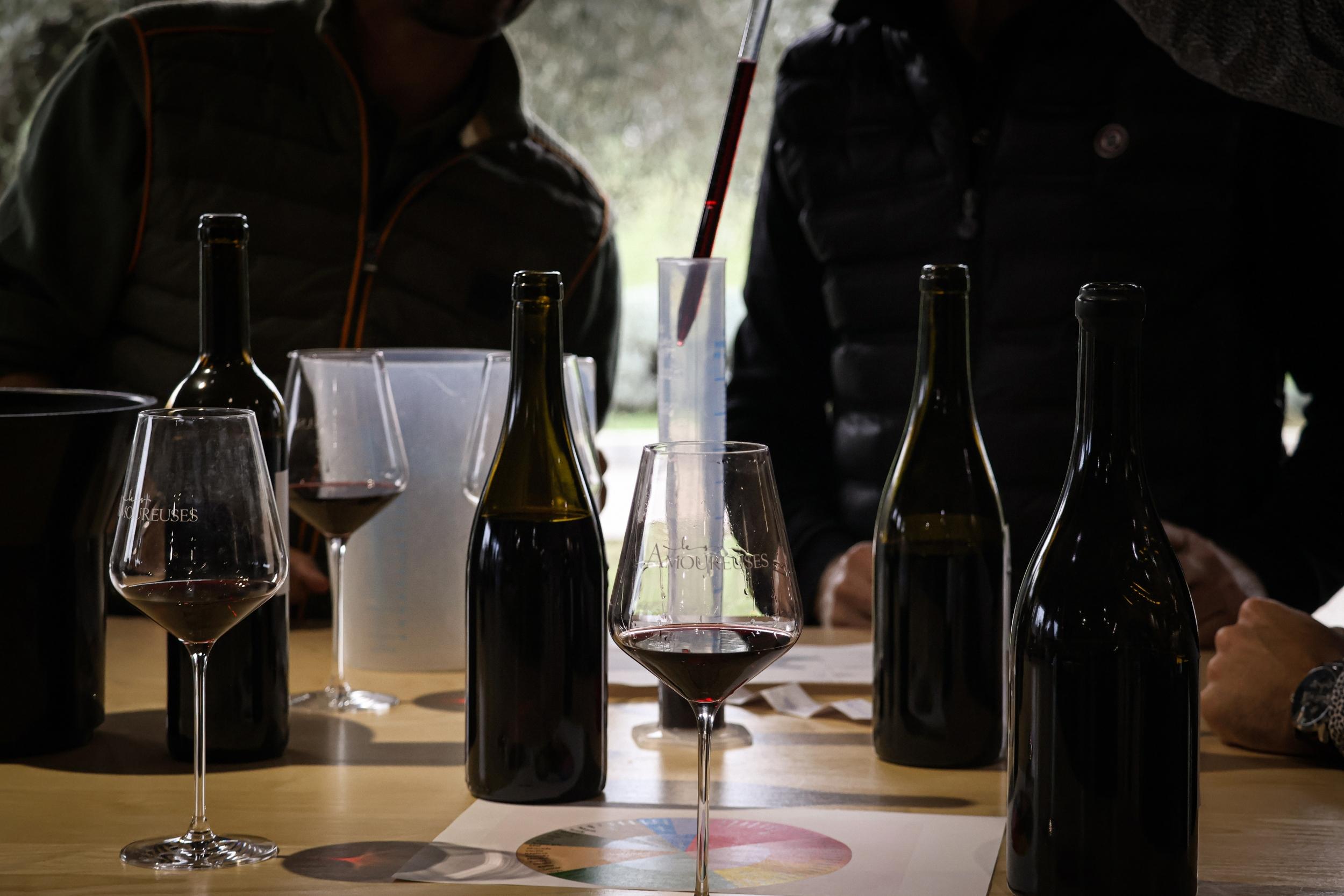 Défiez votre équipe et assemblez vos cuvées de vin avec Maud - Image n°9 - Wecandoo