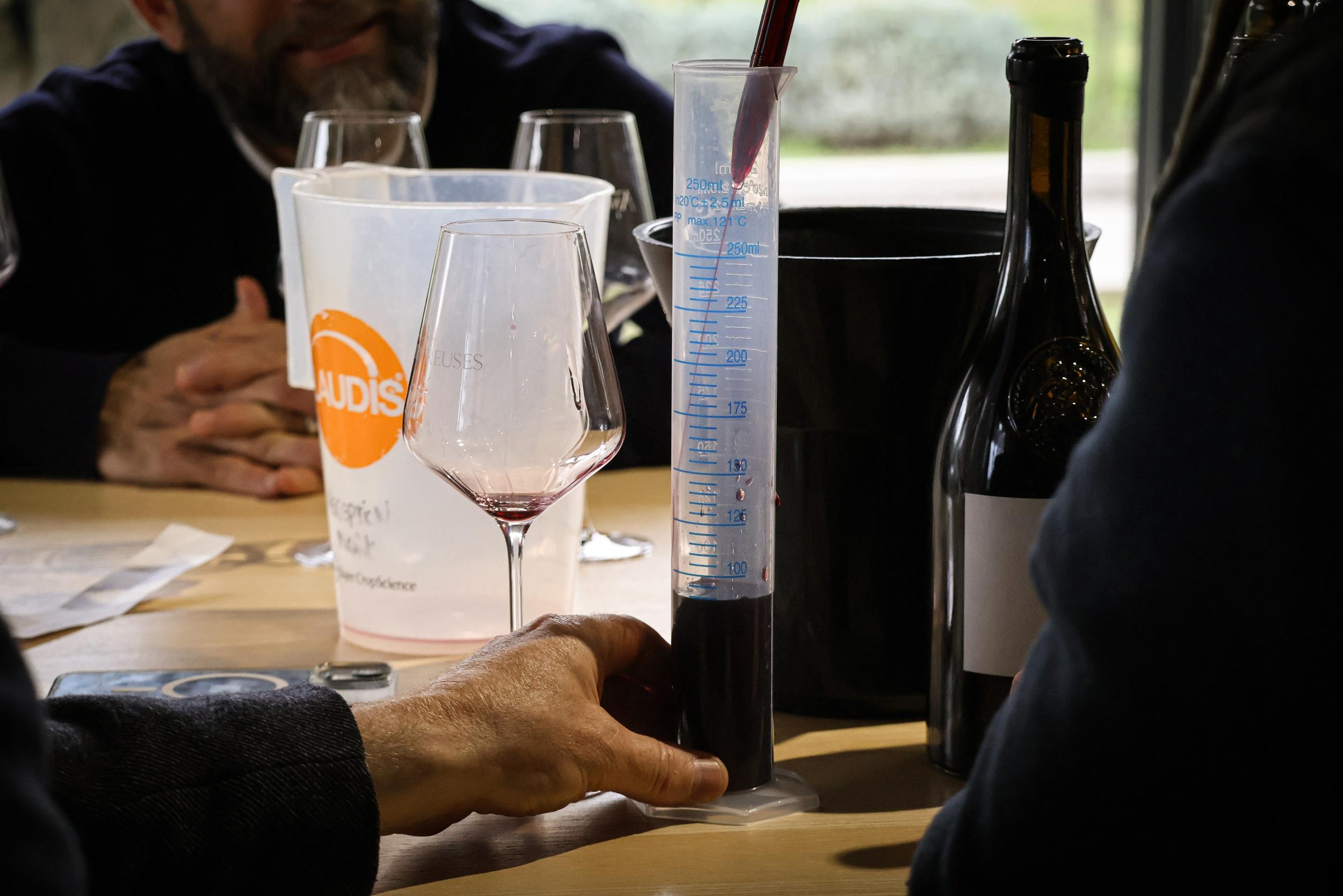 Dégustez des vins sur amphores et barriques avec Maud - Image n°5 - Wecandoo