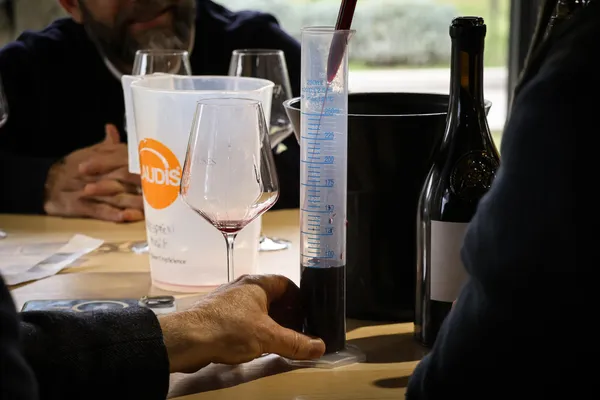 Dégustez des vins élevés en amphores et en barriques avec Maud - Image n°5 - Wecandoo