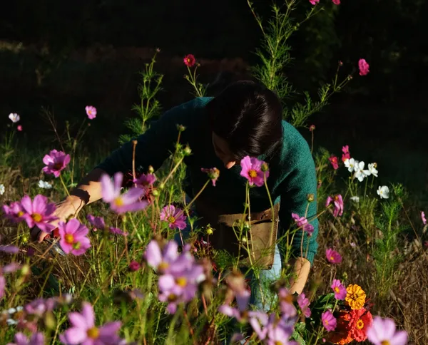 Créez votre couronne de végétaux et fleurs séchées avec Alix - Image n°2 - Wecandoo