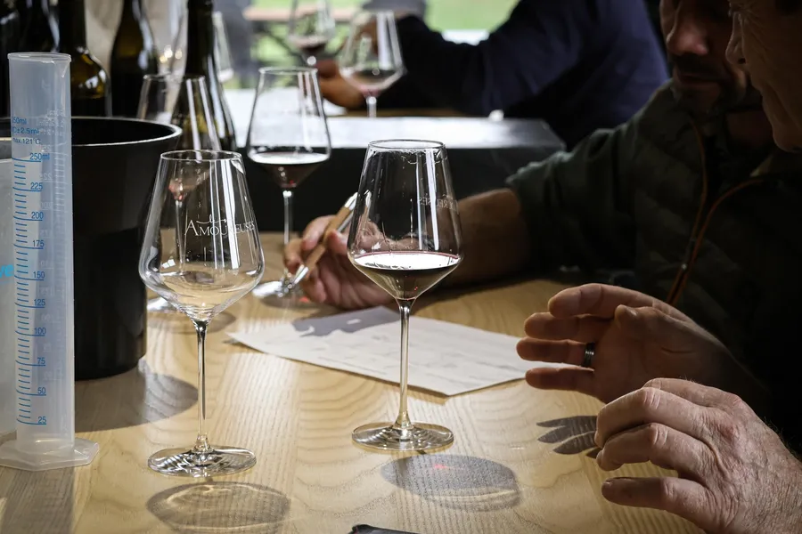 Défiez votre équipe et assemblez vos cuvées de vin avec Maud - Image n°1 - Wecandoo