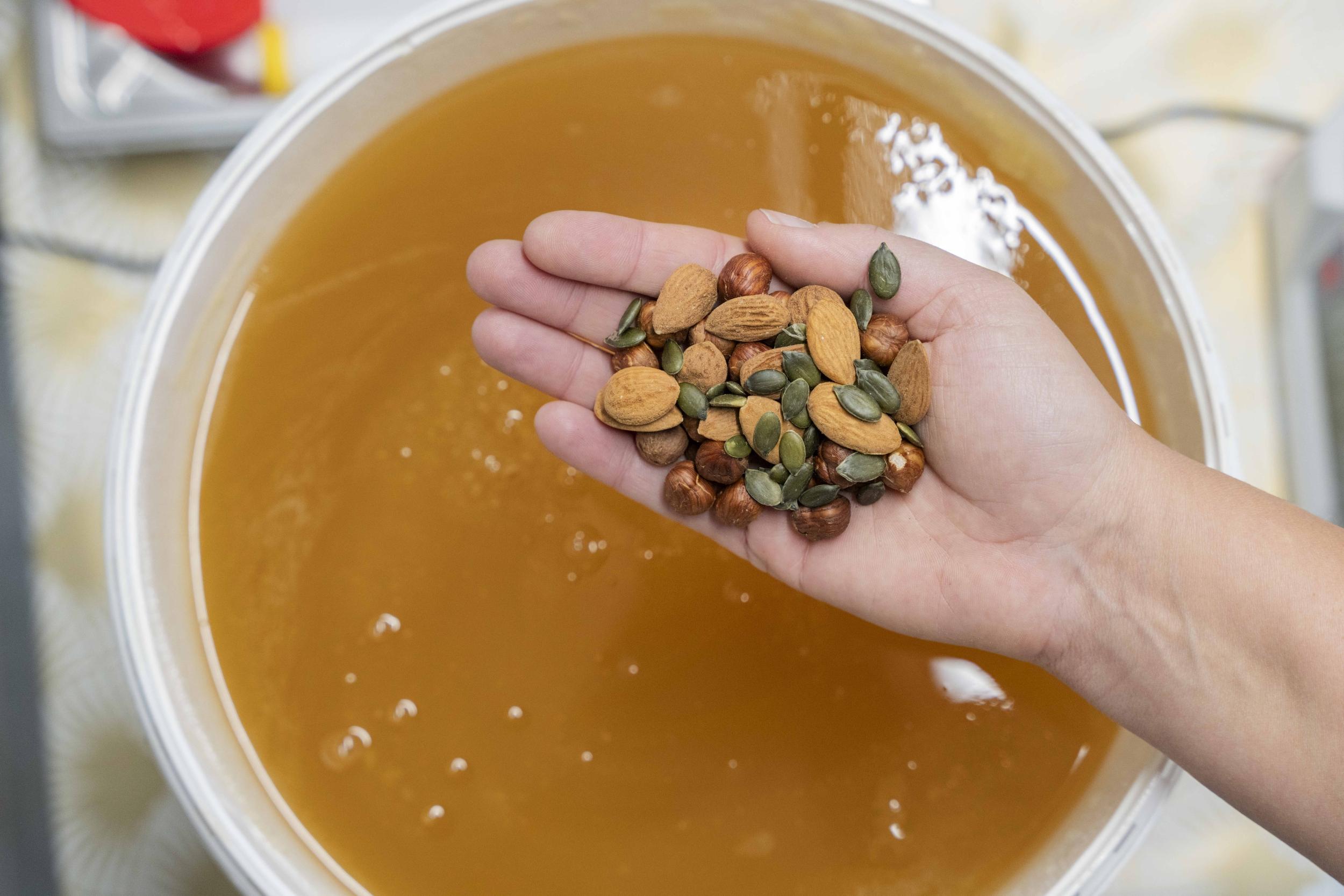 Réalisez vos nougats dans une miellerie avec Mélodie - Image n°3 - Wecandoo