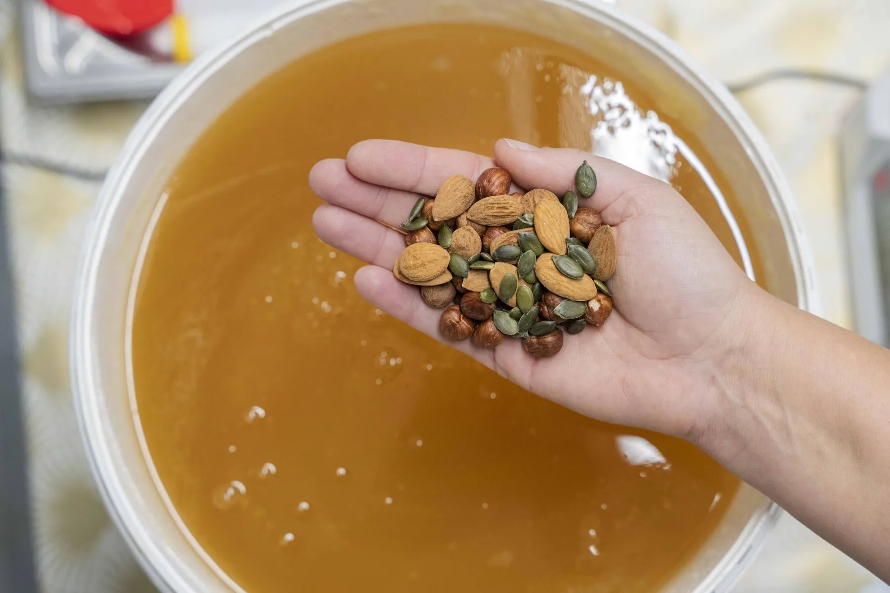 Réalisez vos nougats dans une miellerie avec Mélodie - Image n°3 - Wecandoo