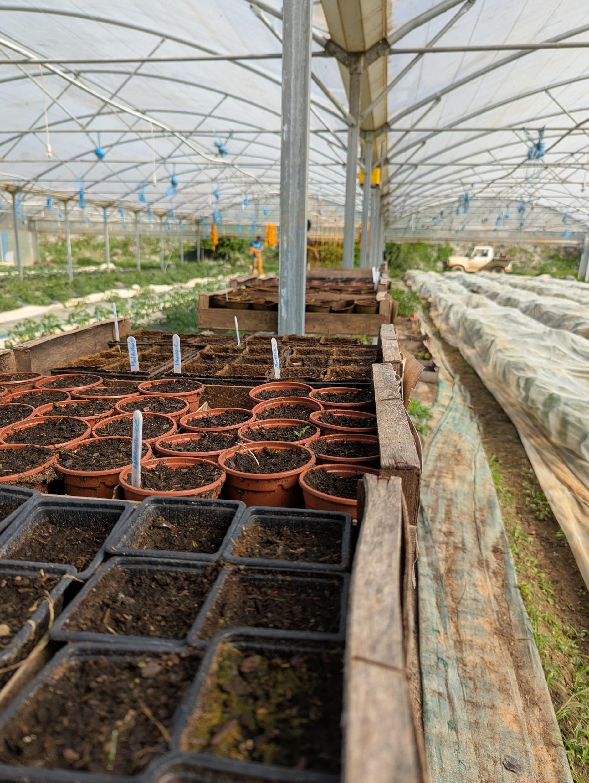 Découvrez une ferme en maraîchage bio avec Joseph, Thibault et Félix - Image n°12 - Wecandoo