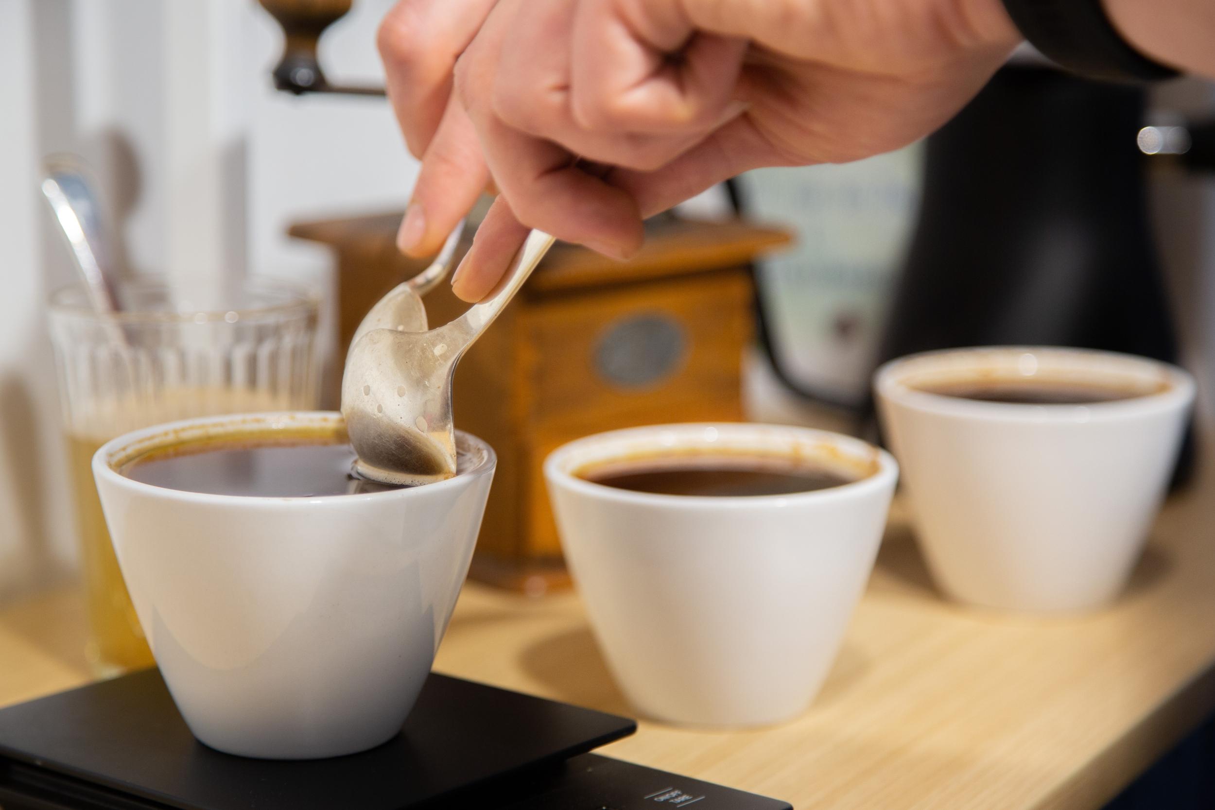 Torréfiez votre café de spécialité à Strasbourg