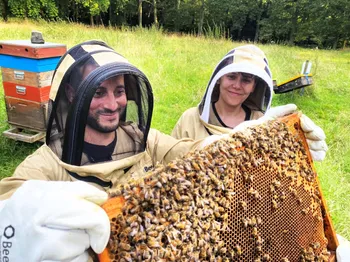Leer de basiskennis over bijenteelt