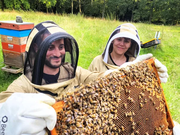 Initiez-vous à l'apiculture