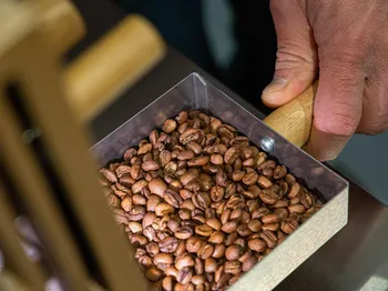 Torréfiez votre propre café