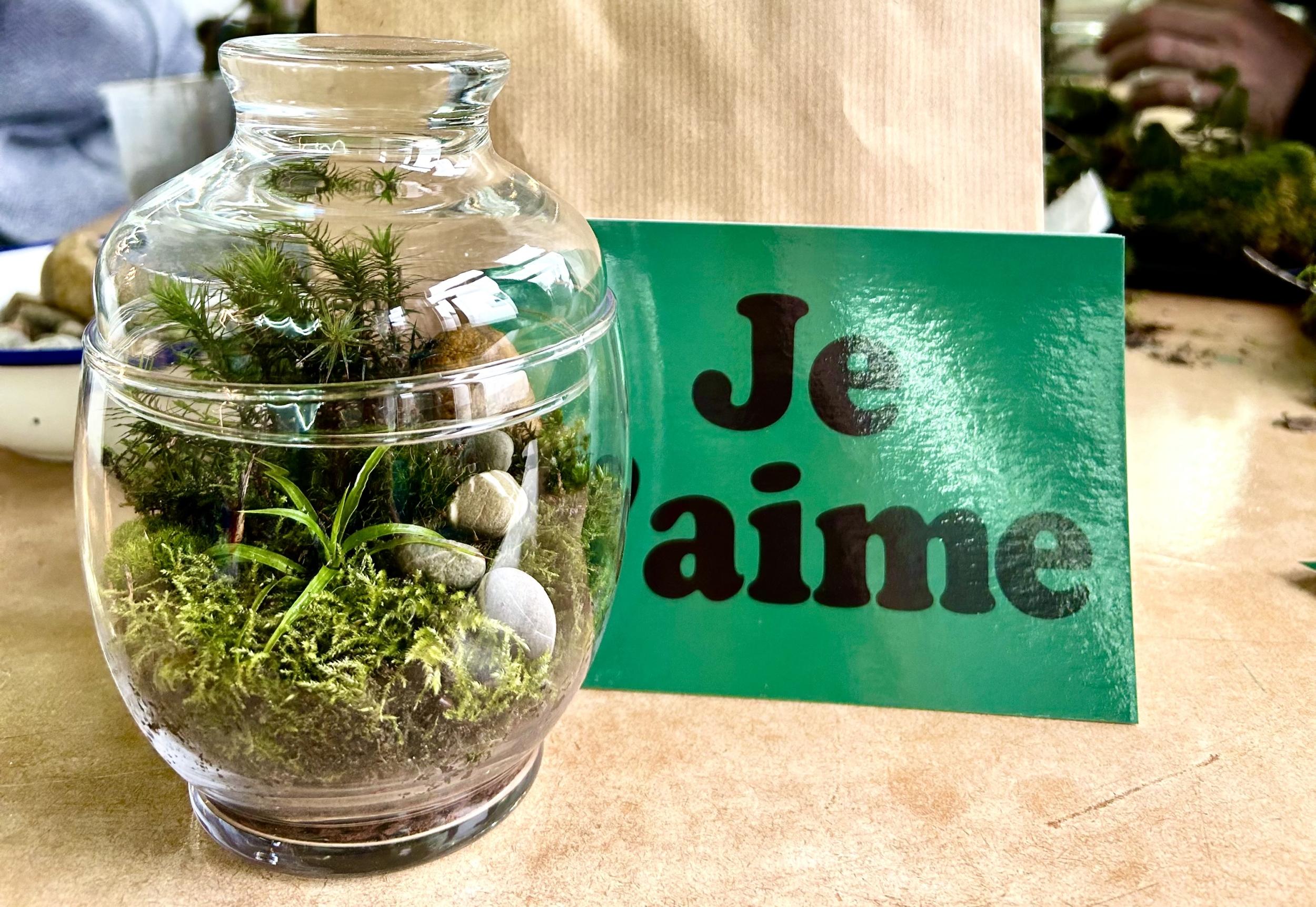 Créez votre terrarium après une balade dans la nature avec Marta Mo - Afbeelding nr. 9 - Wecandoo