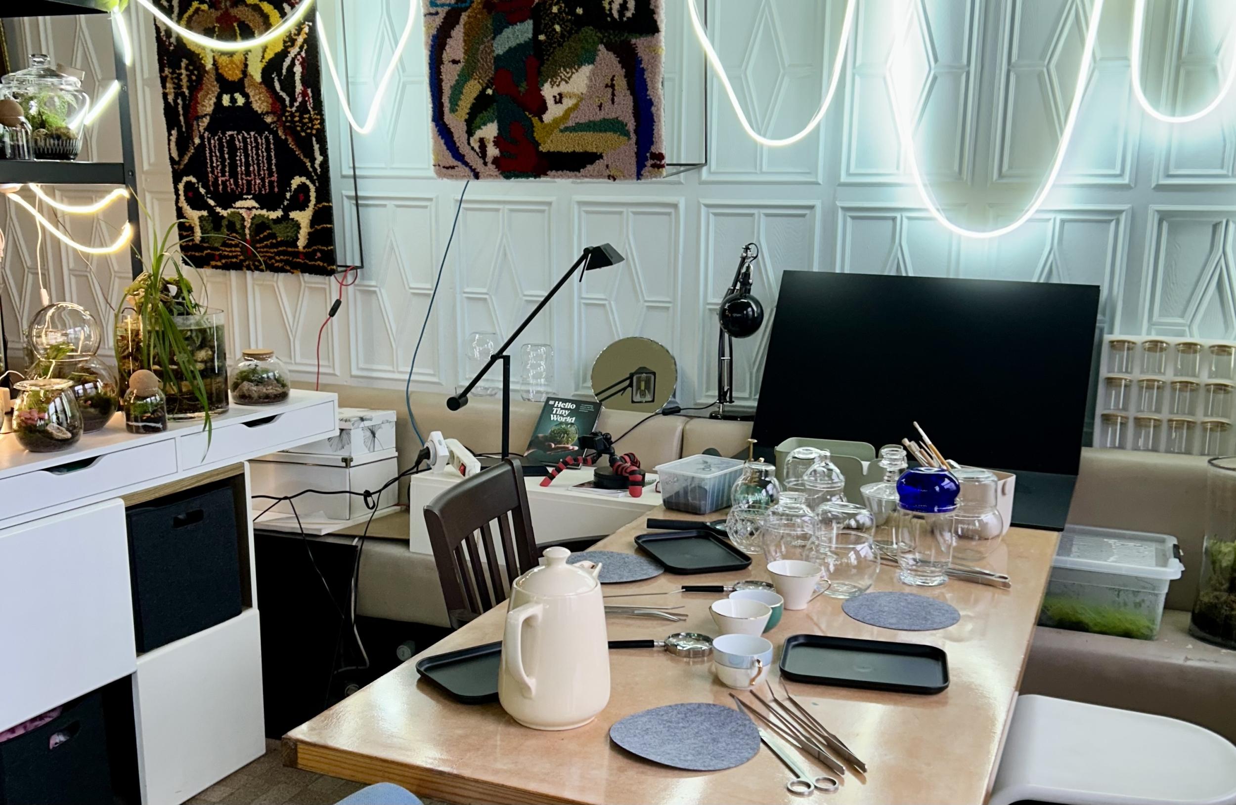 Créez votre terrarium après une balade dans la nature avec Marta Mo - Afbeelding nr. 8 - Wecandoo