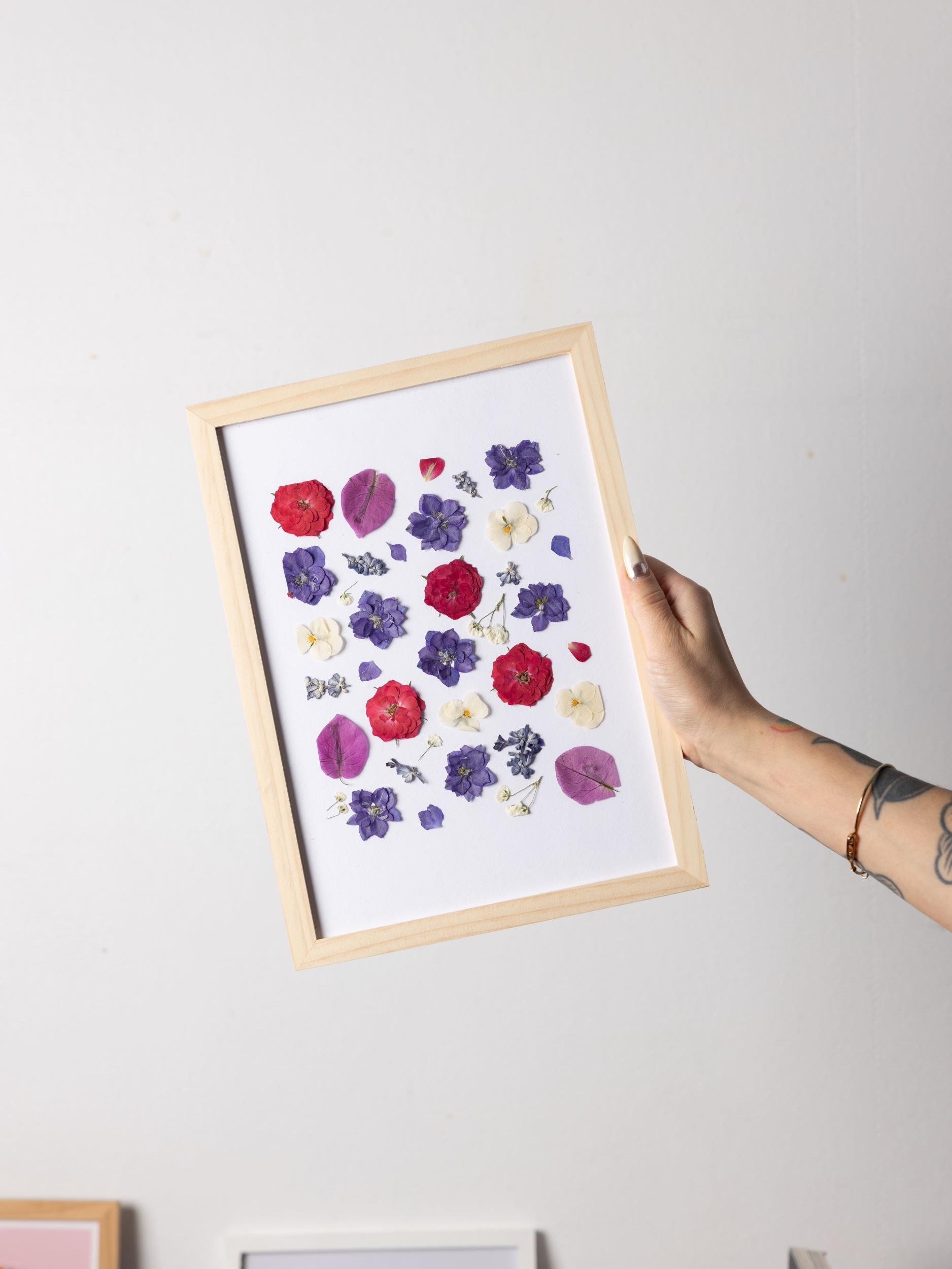 Composez votre herbier - Image n°10 - Wecandoo