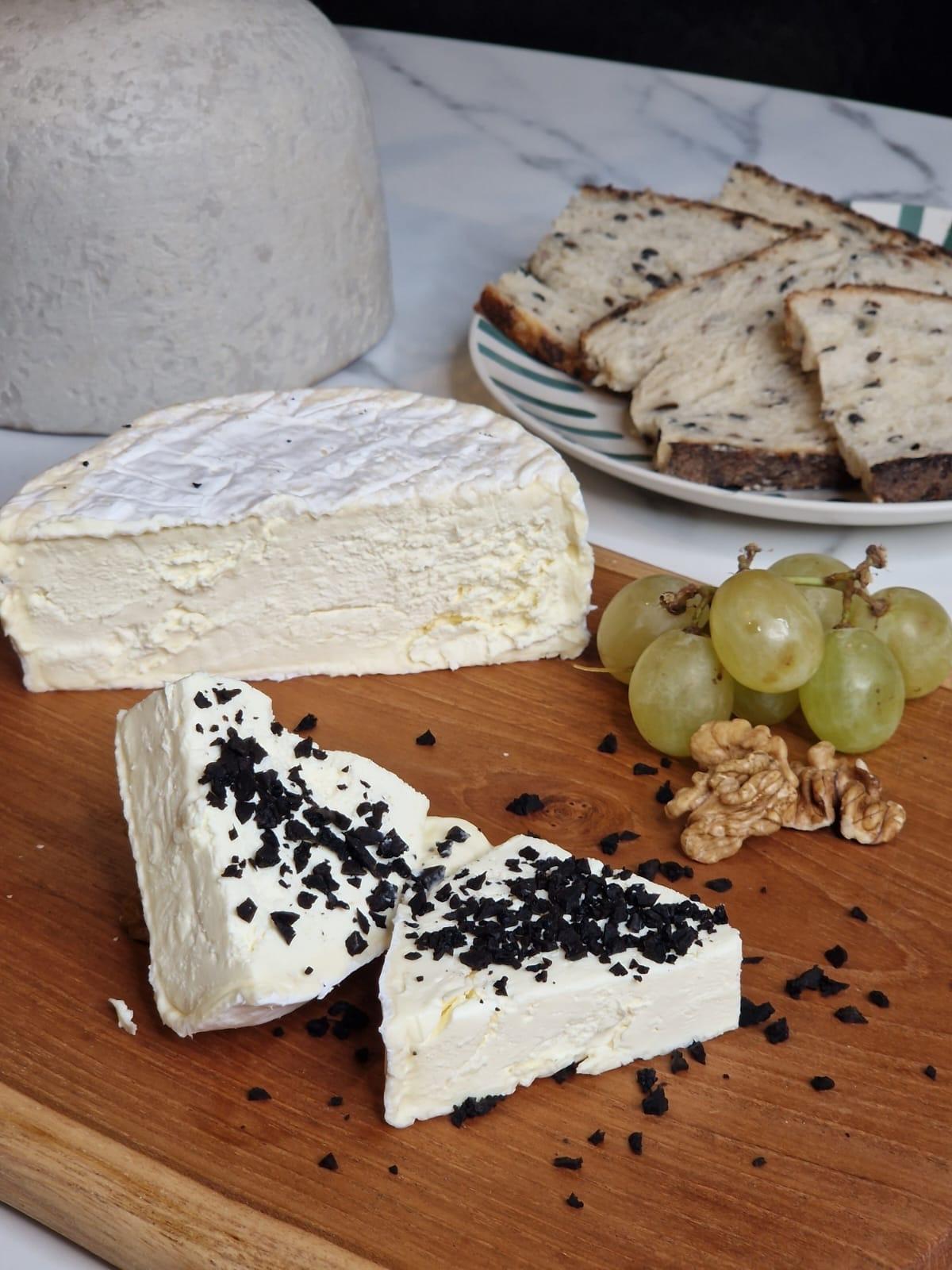 Découvrez le monde de la truffe noire et ses secrets lors d'une demi-journée combinant visite de truffières et dégustation - Image n°7 - Wecandoo