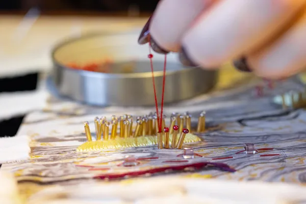 Réalisez votre cadre rond brodé sur métier à broder avec Éloïse - Image n°3 - Wecandoo