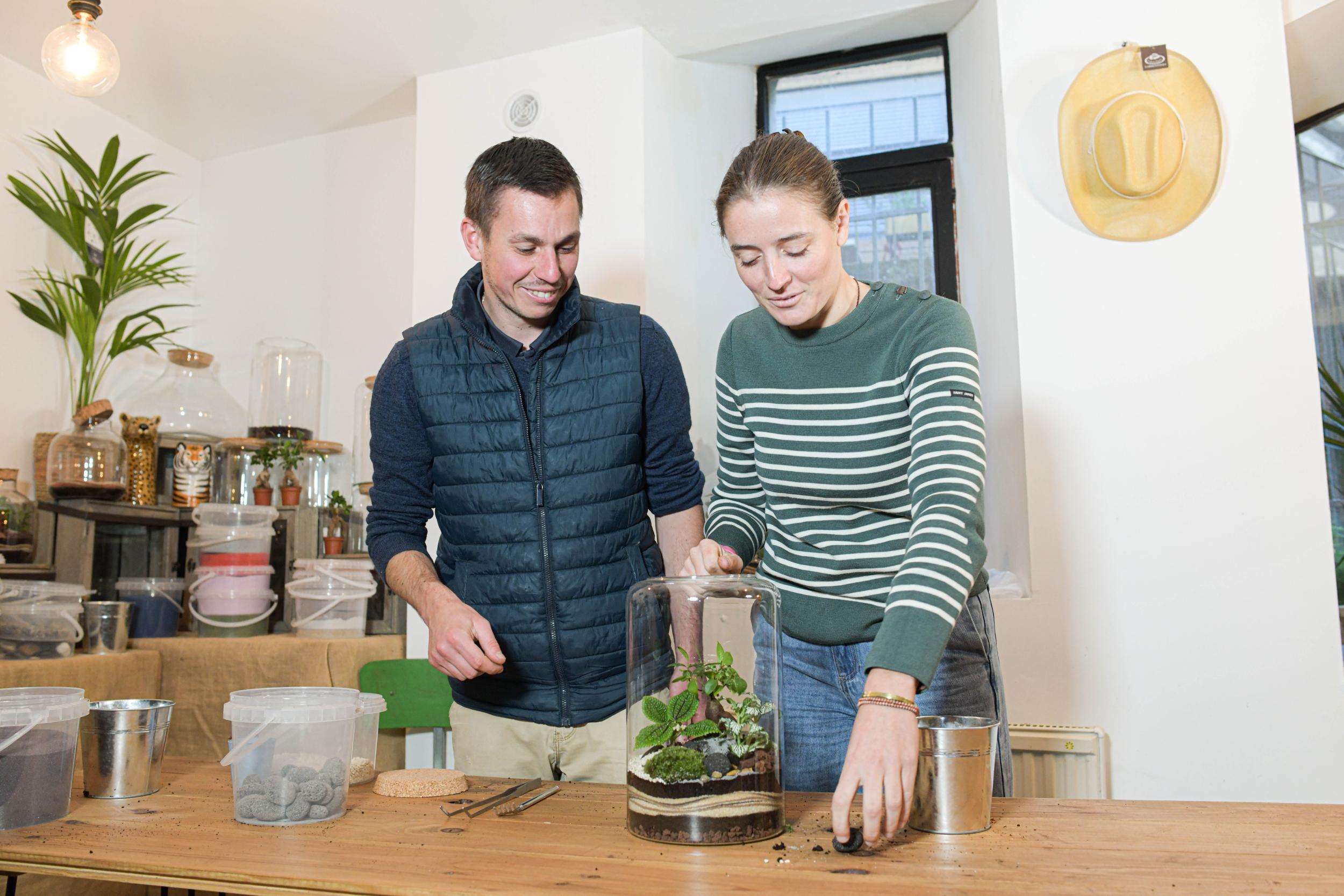 Réalisez votre grand terrarium avec Julien - Image n°3 - Wecandoo