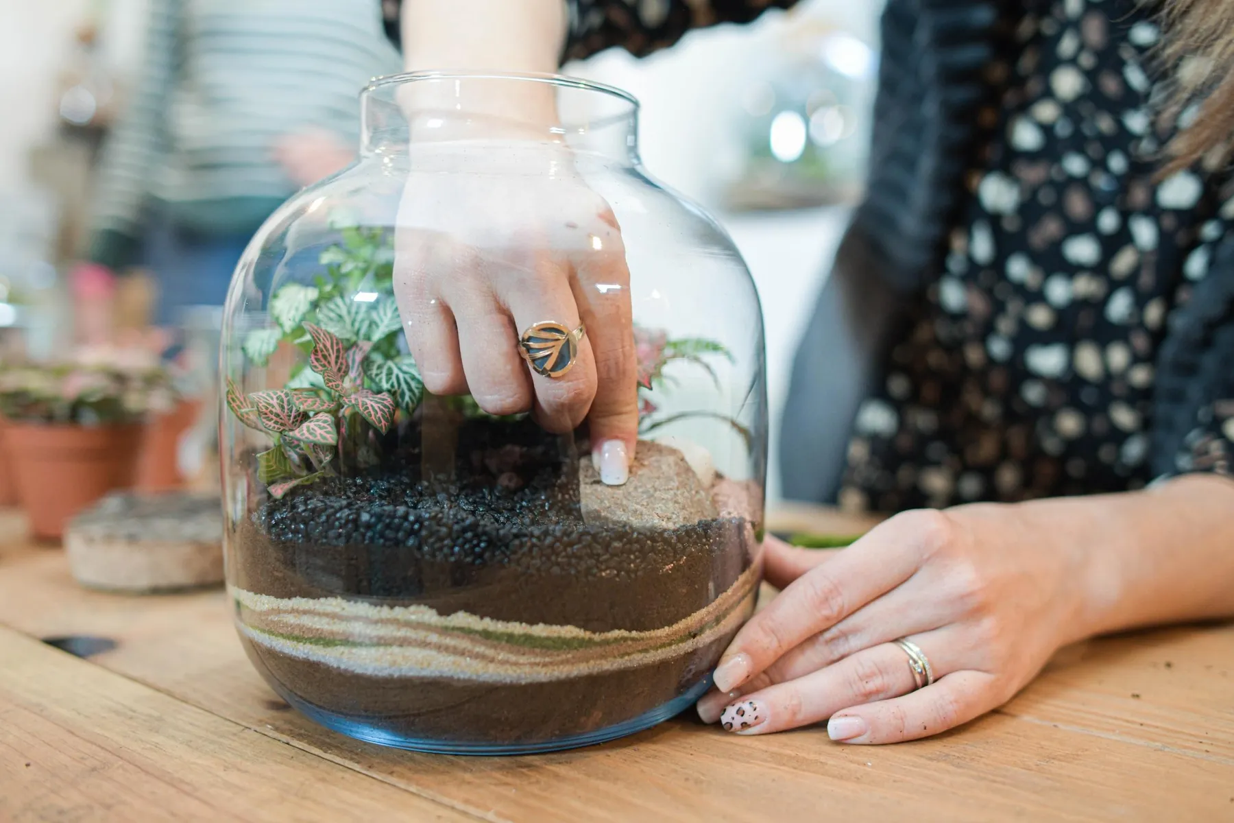 Réalisez votre petit terrarium avec Julien - Image n°1 - Wecandoo