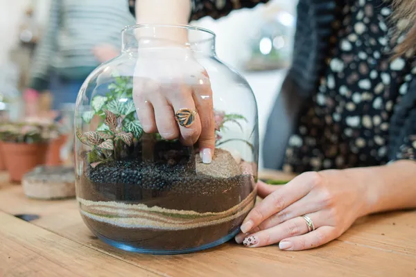 Réalisez votre petit terrarium avec Julien - Image n°1 - Wecandoo