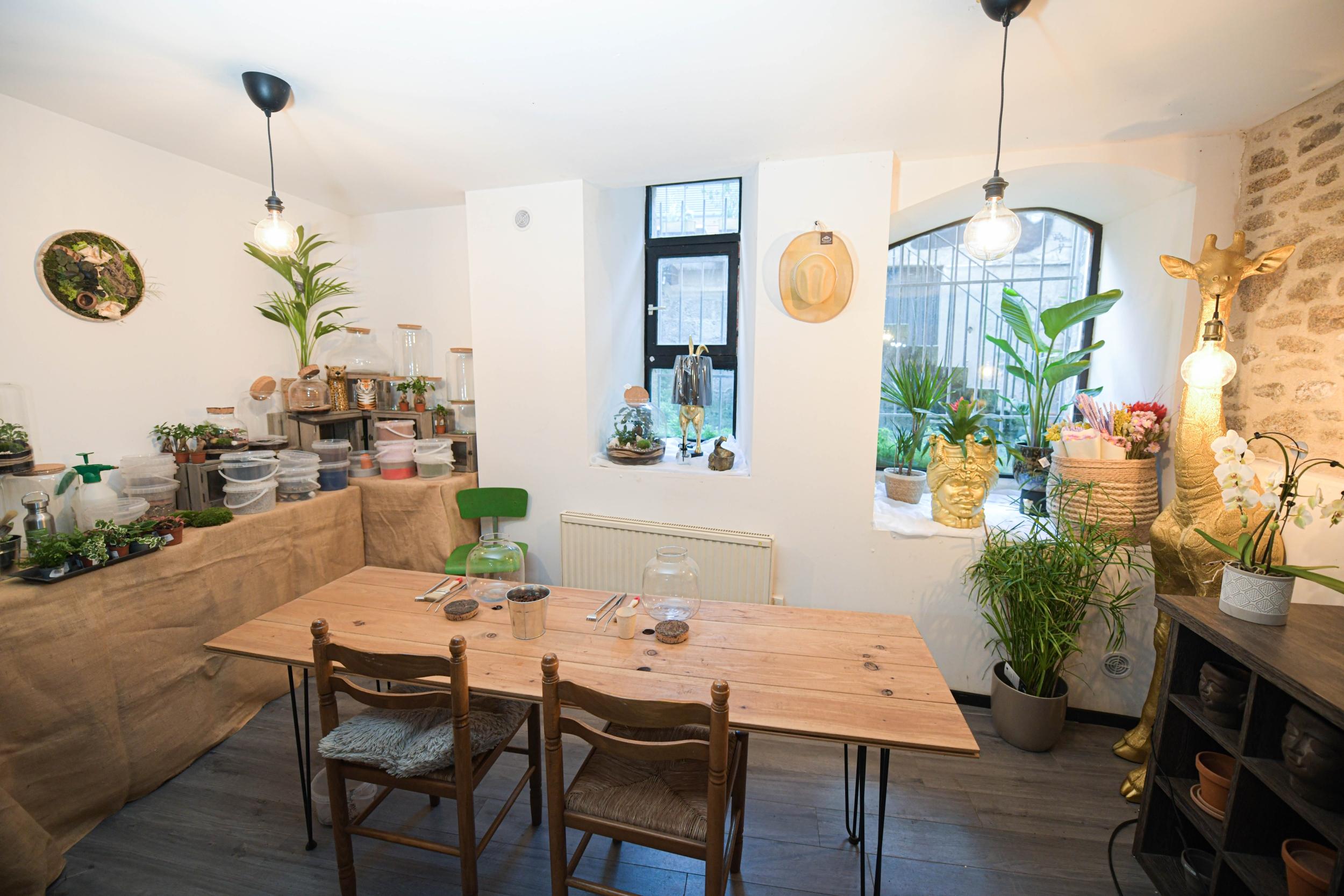 Réalisez votre grand terrarium avec Julien - Image n°7 - Wecandoo