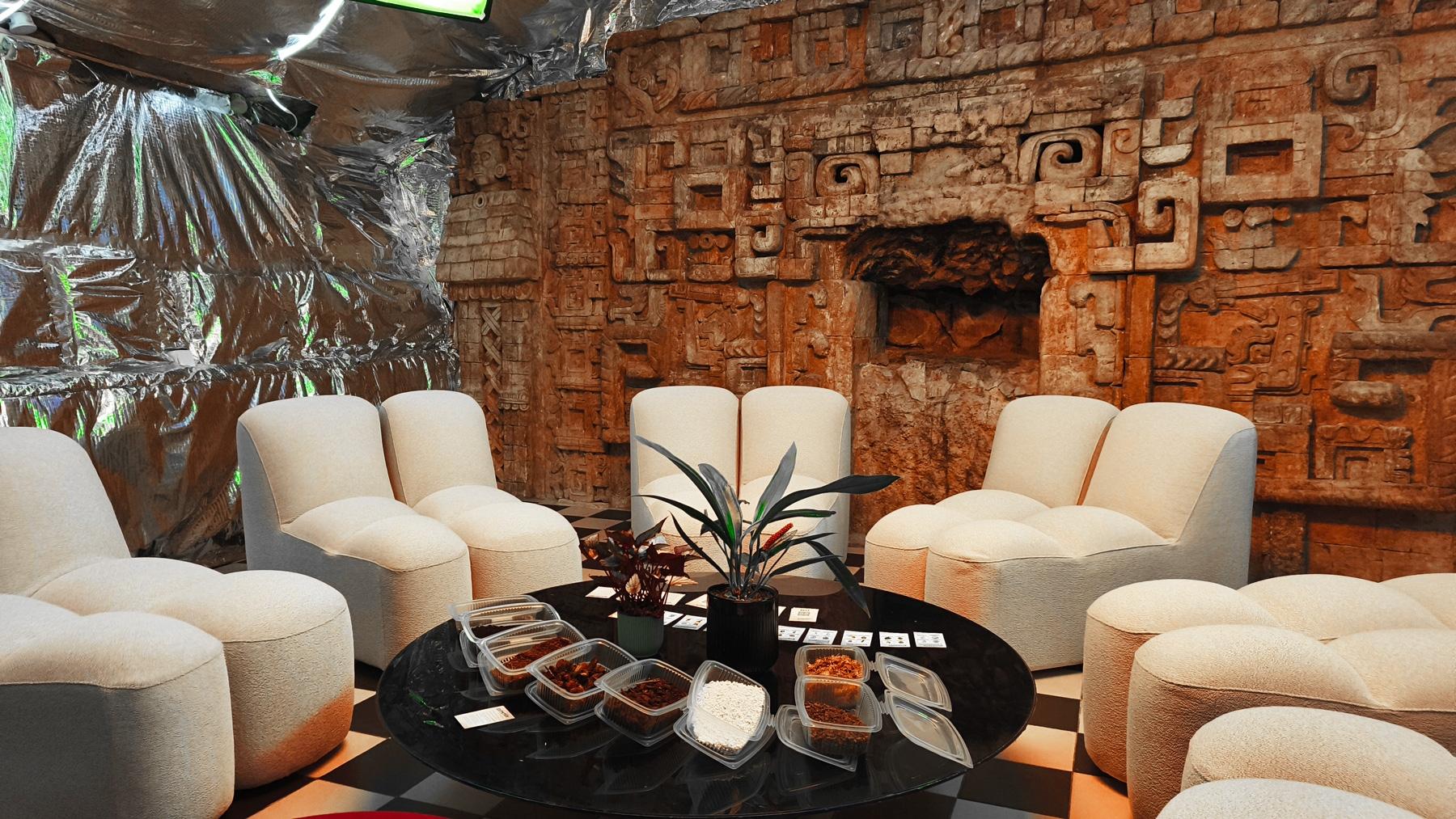 Plongez dans l'univers des plantes d'intérieur avec Nicolas - Image n°1 - Wecandoo