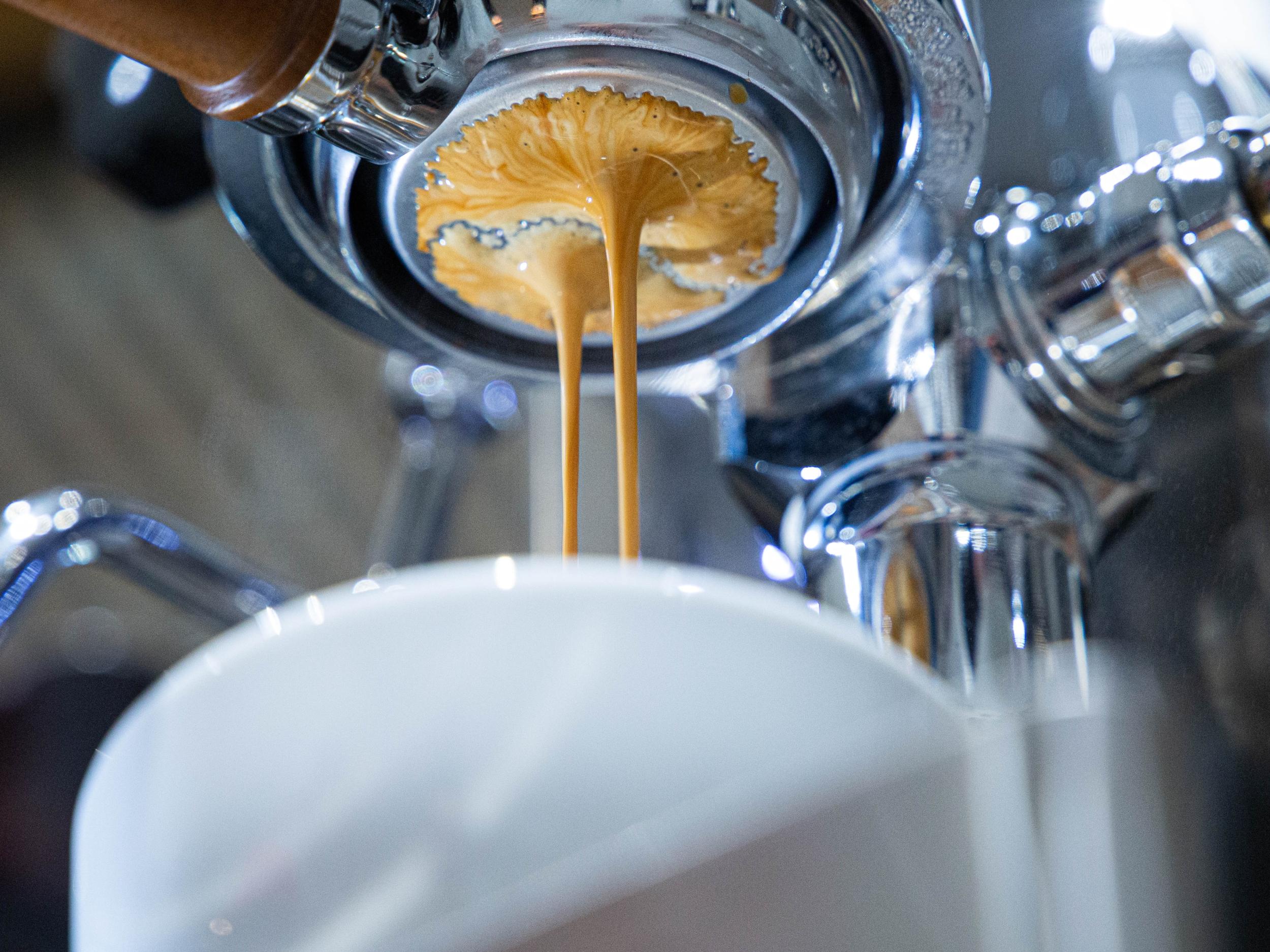 Découvrez le café de spécialité avec Erick - Image n°6 - Wecandoo