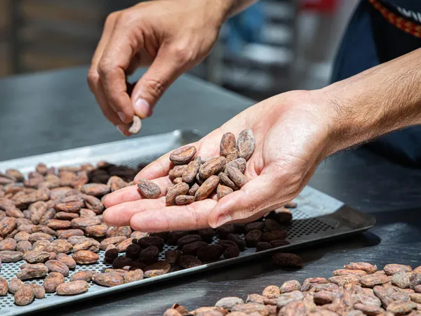 Apprenez à faire votre chocolat bean to bar avec Erick - Image n°1 - Wecandoo