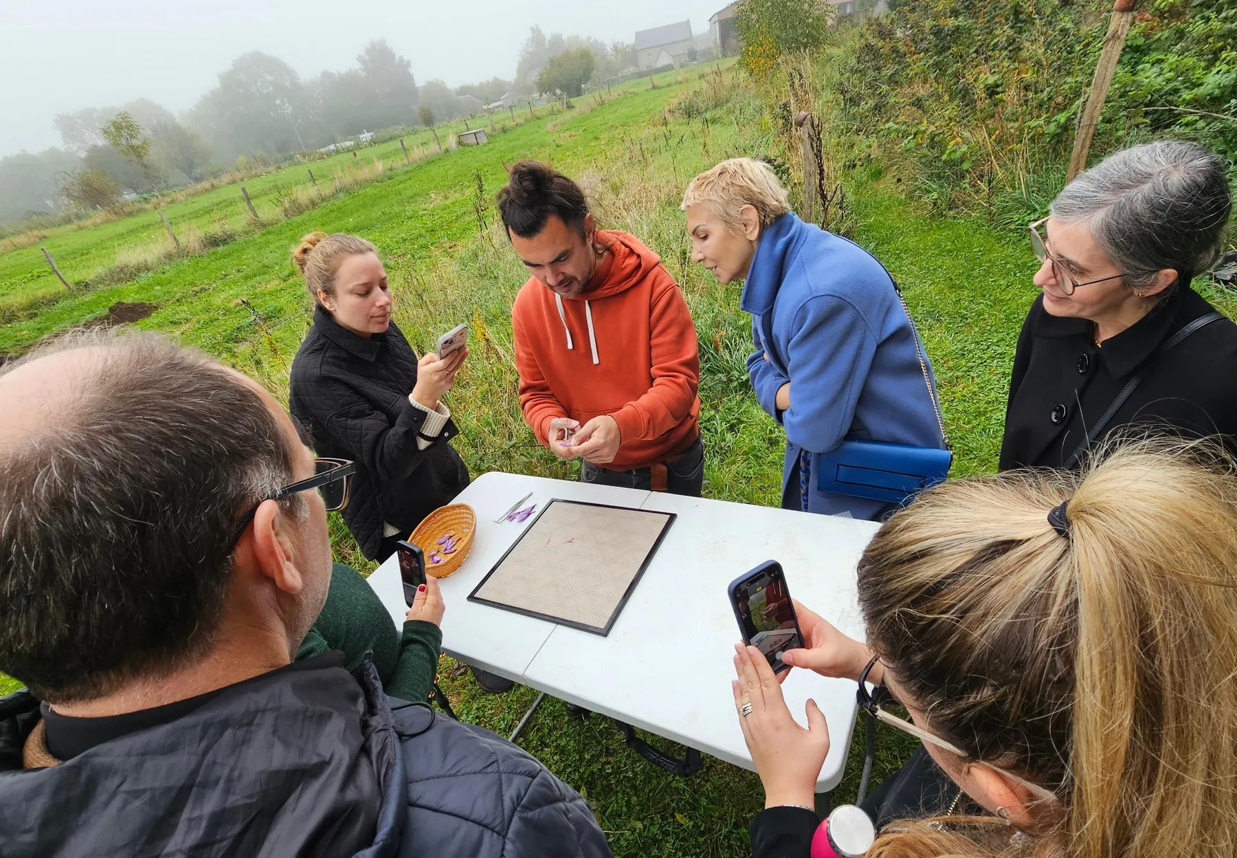 Récoltez et préparez du safran avec Christopher - Image n°3 - Wecandoo