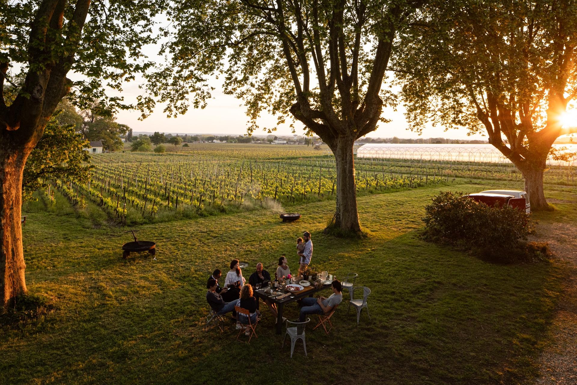 Surprenez votre équipe et initiez-vous à la dégustation de vin avec Coraline - Image n°7 - Wecandoo