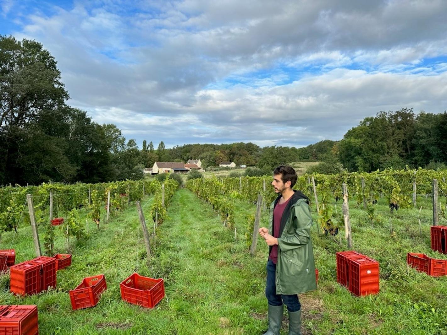 Dégustez un accord de 5 vins naturels et 3 fromages artisanaux avec Fady et Antoine - Image n°8 - Wecandoo