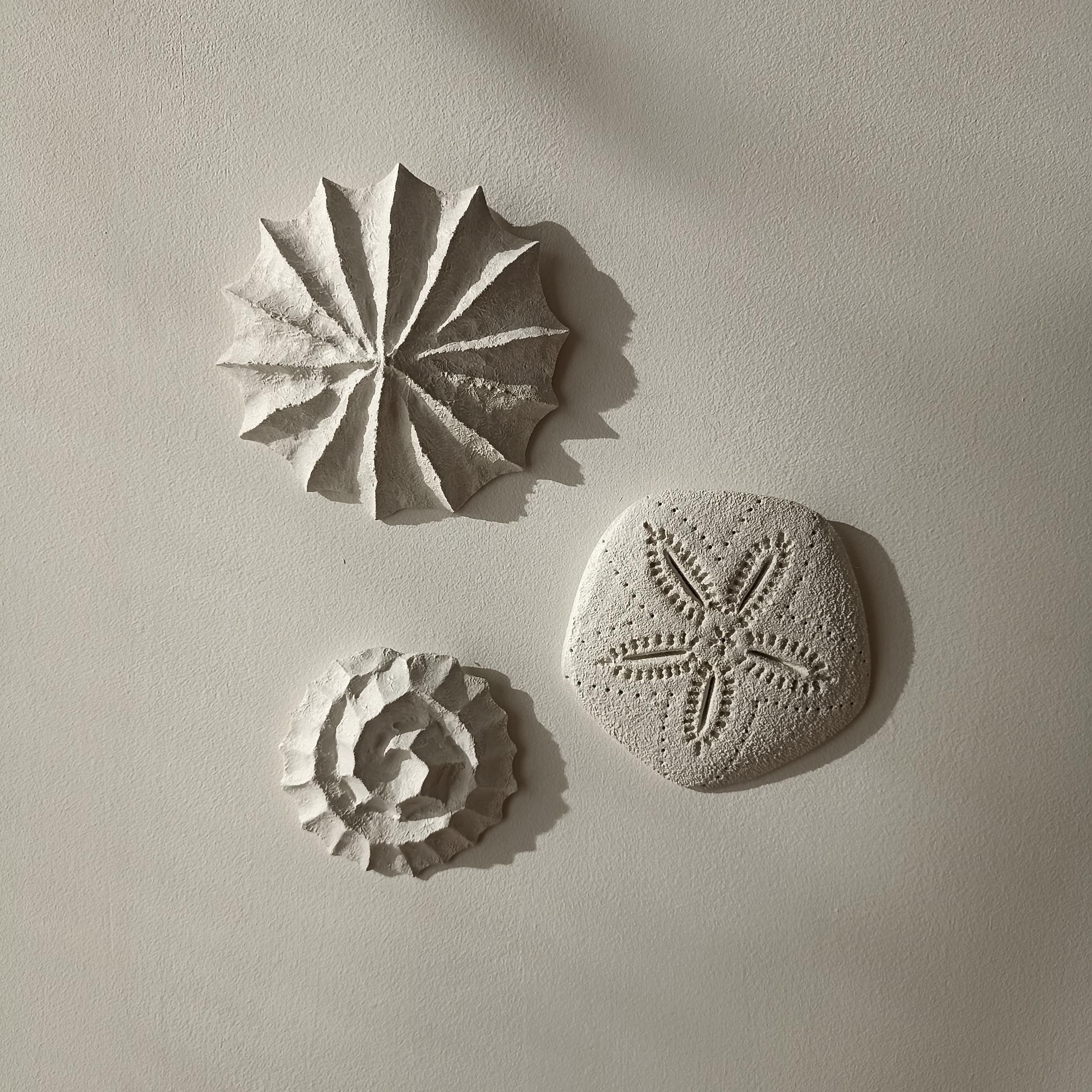 Créez votre trio de décorations murales d'inspiration marine avec Justine - Image n°1 - Wecandoo