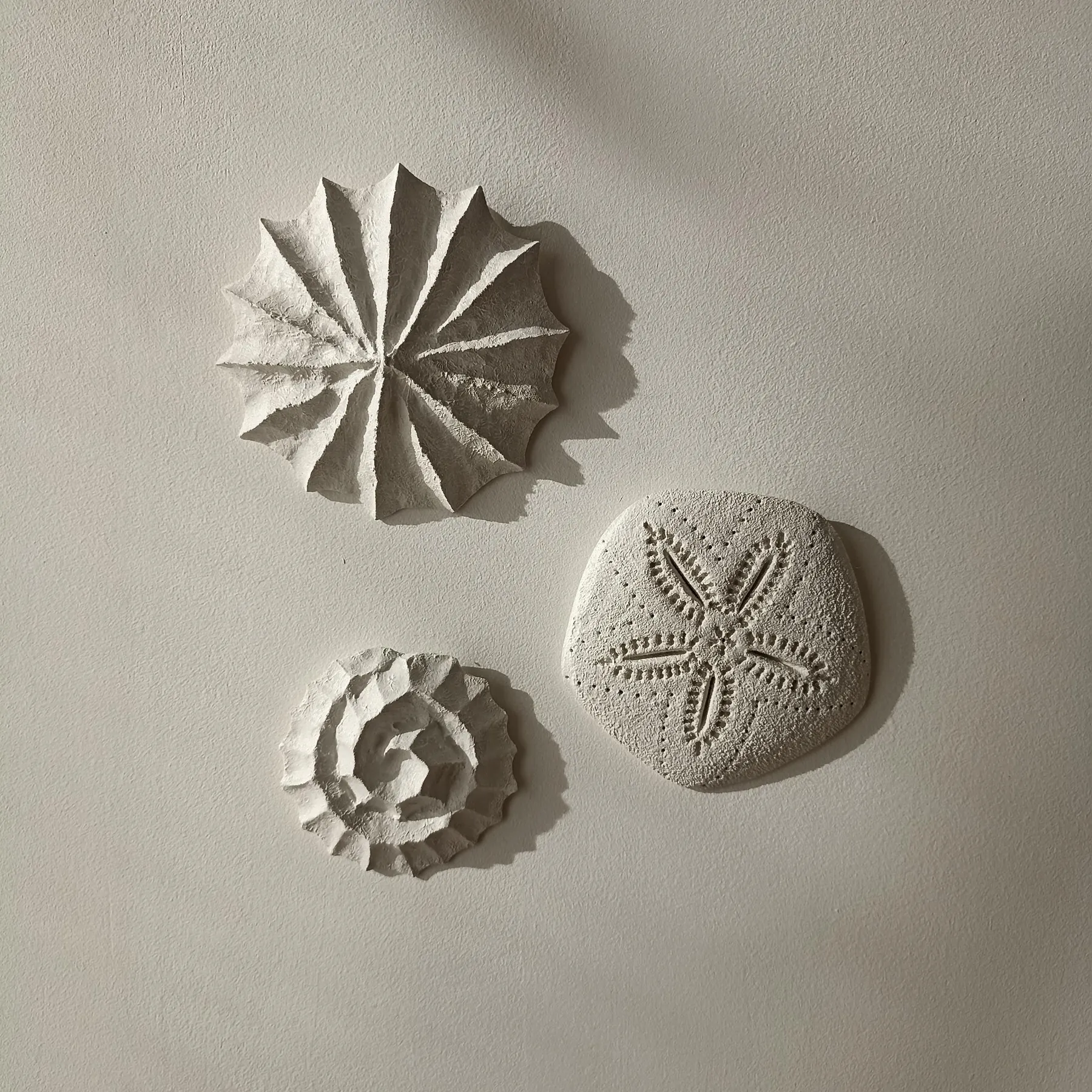 Créez votre trio de décorations murales d'inspiration marine avec Justine - Image n°1 - Wecandoo