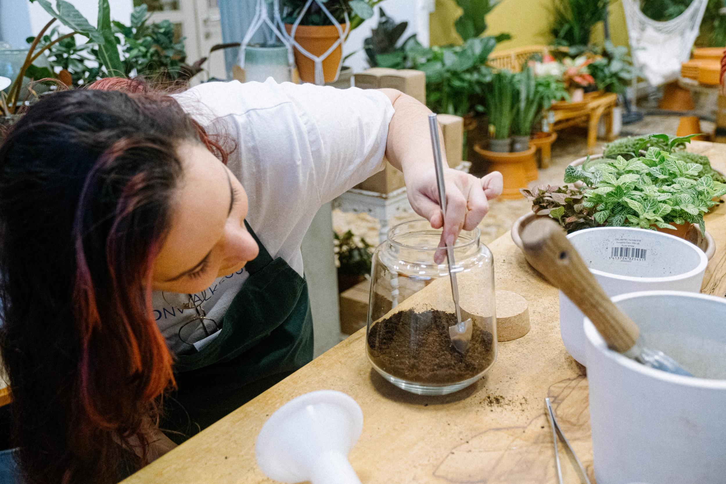 Composez votre grand terrarium - Image n°5 - Wecandoo