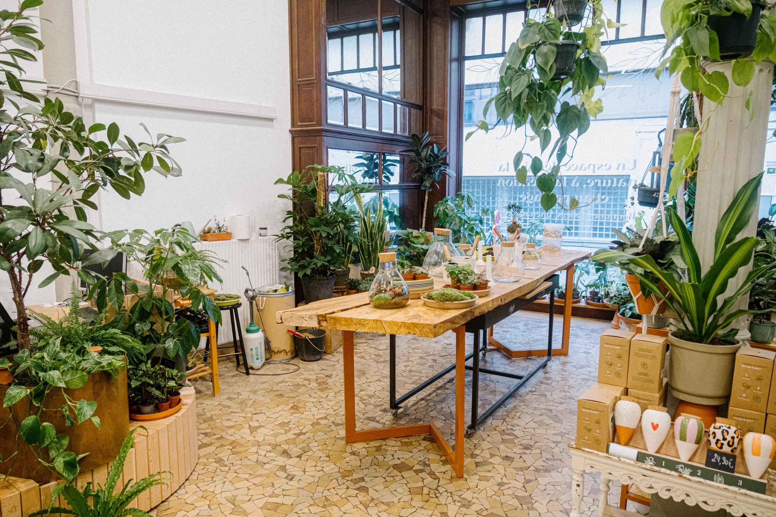 Émerveillez votre équipe et composez un kokedama avec Audrey - Image n°10 - Wecandoo