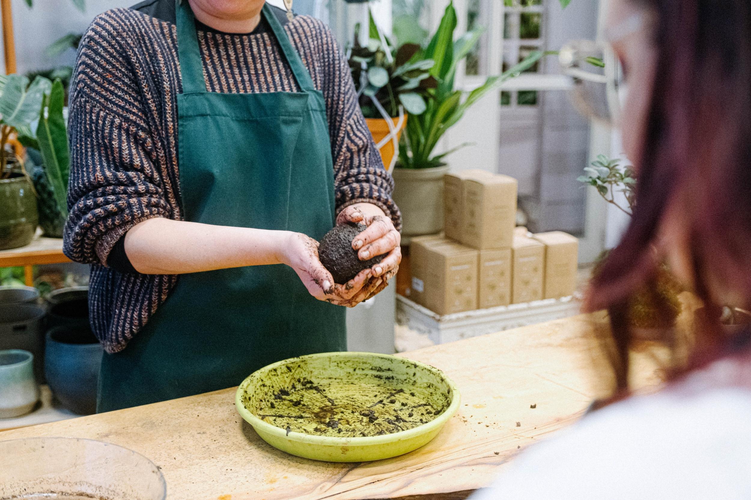 Émerveillez votre équipe et composez un kokedama avec Audrey - Image n°7 - Wecandoo