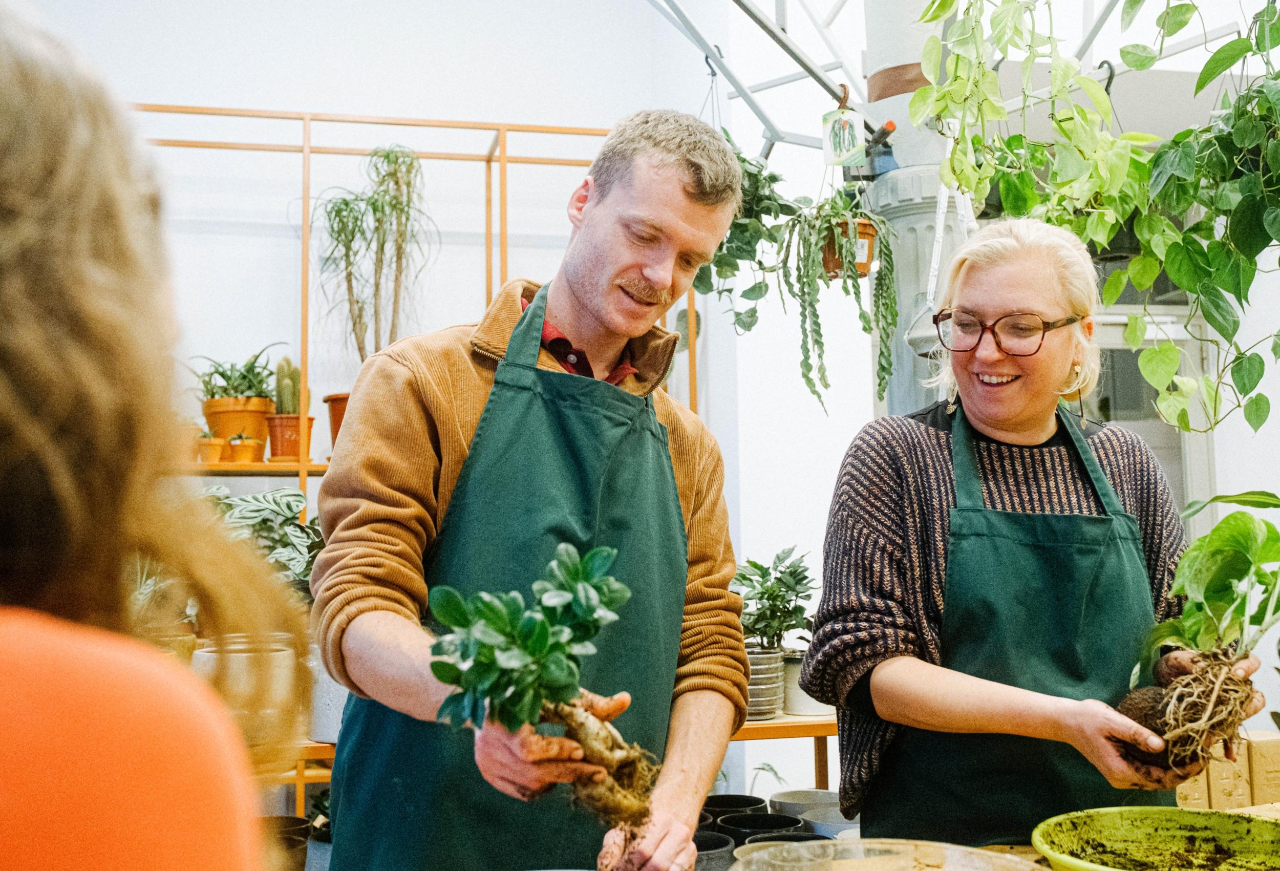 Émerveillez votre équipe et composez un kokedama avec Audrey - Image n°1 - Wecandoo