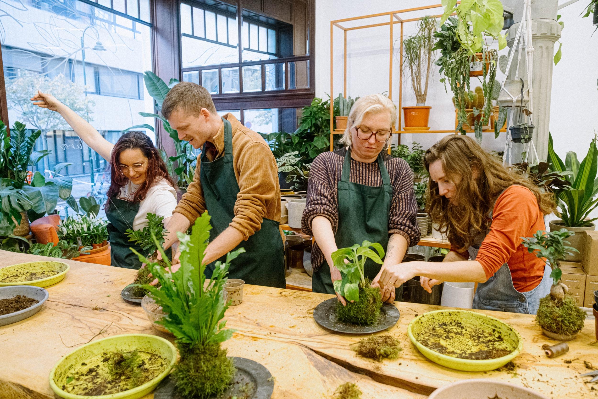 Émerveillez votre équipe et composez un kokedama avec Audrey - Image n°4 - Wecandoo