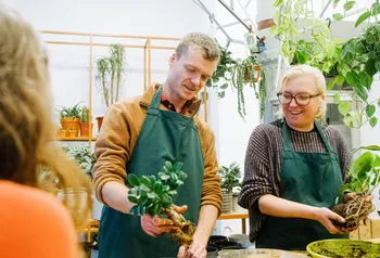 Composez votre kokedama en groupe