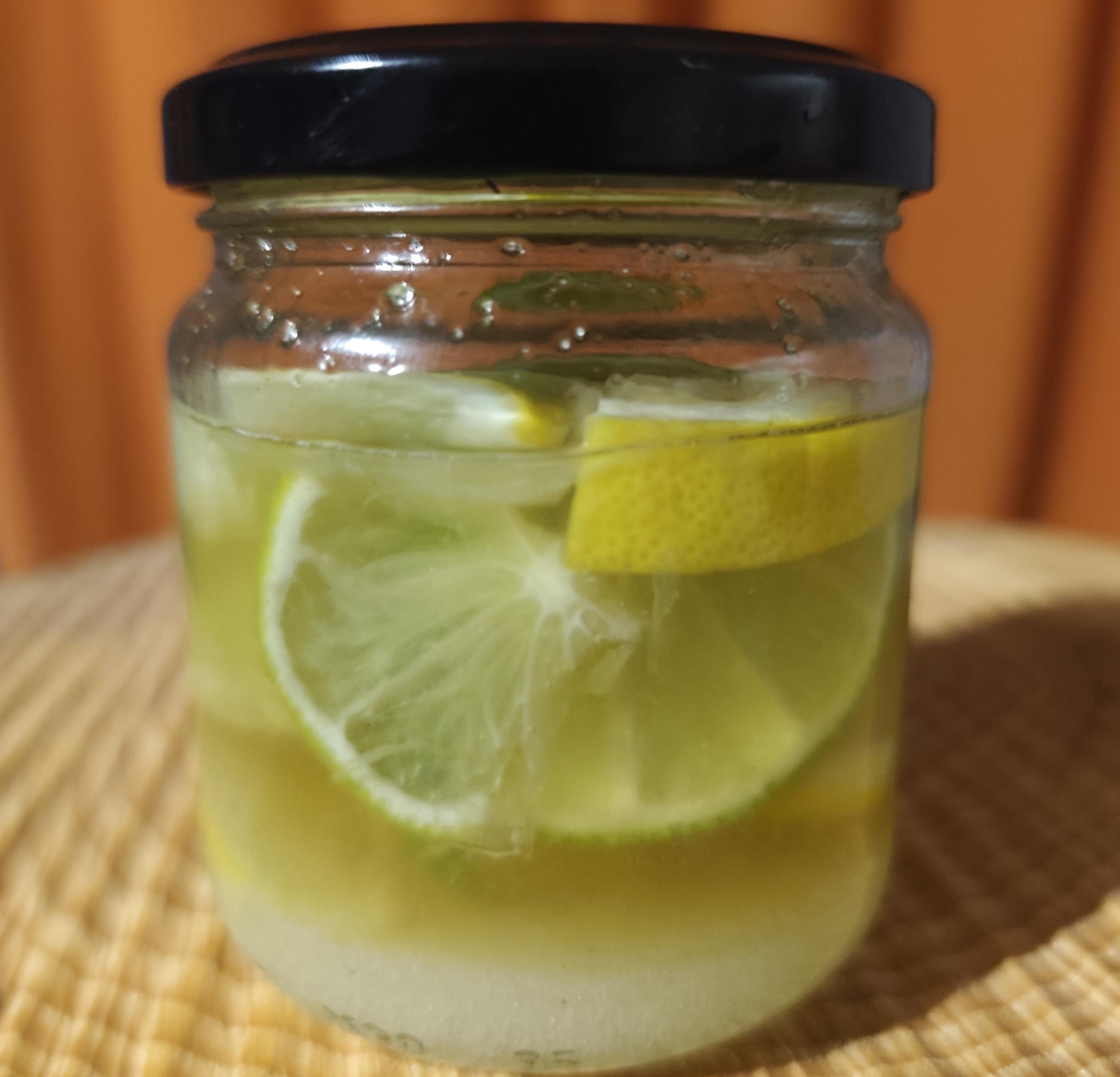 Créez votre limoncello et découvrez les clés des boissons fermentées avec Thibaut - Image n°2 - Wecandoo