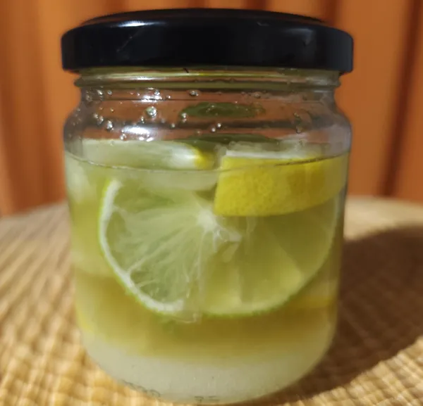 Créez votre limoncello et découvrez les clés des boissons fermentées avec Thibaut - Image n°2 - Wecandoo