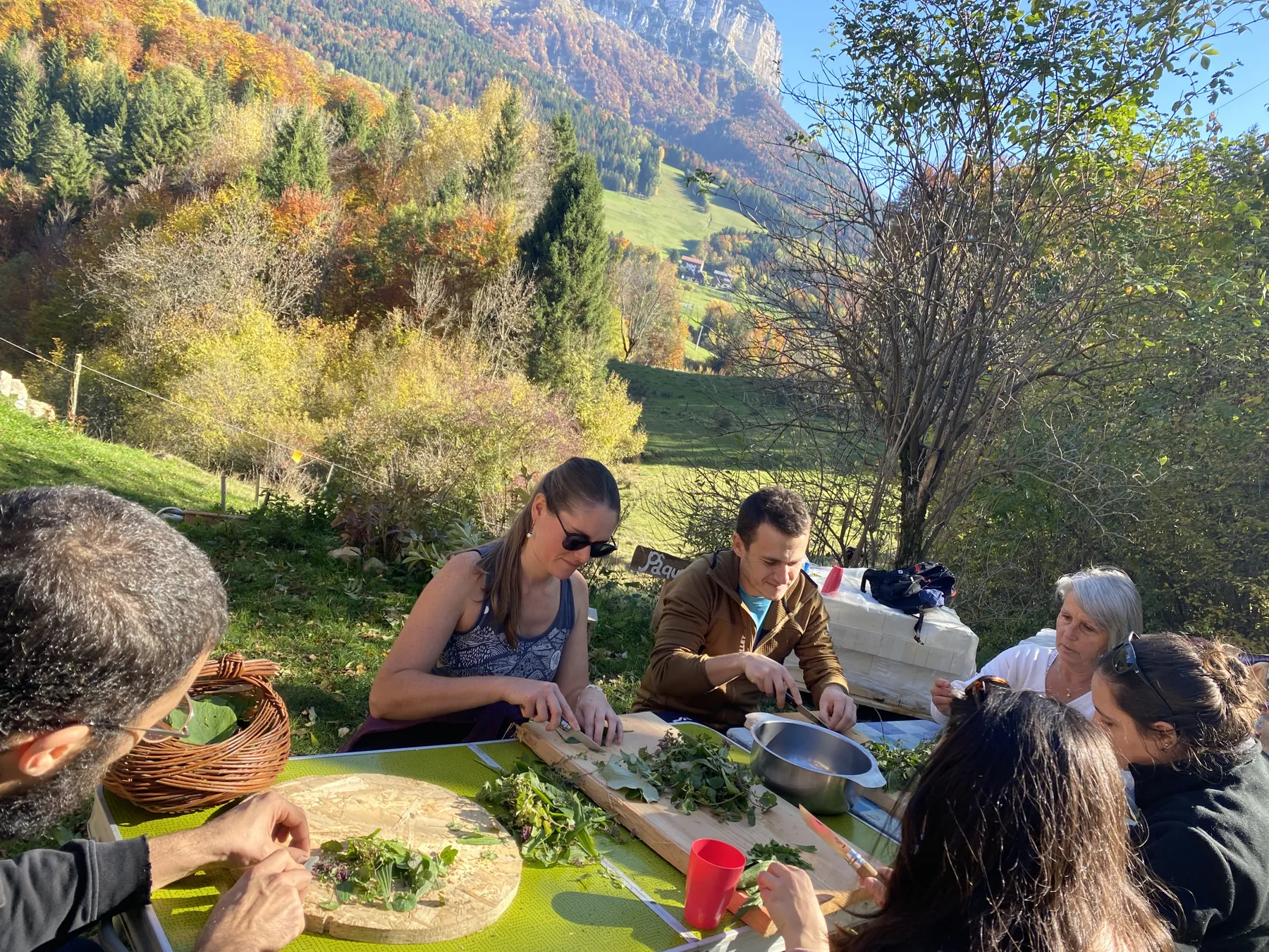 Découvrez et transformez les plantes sauvages avec Marilyne - Image n°4 - Wecandoo